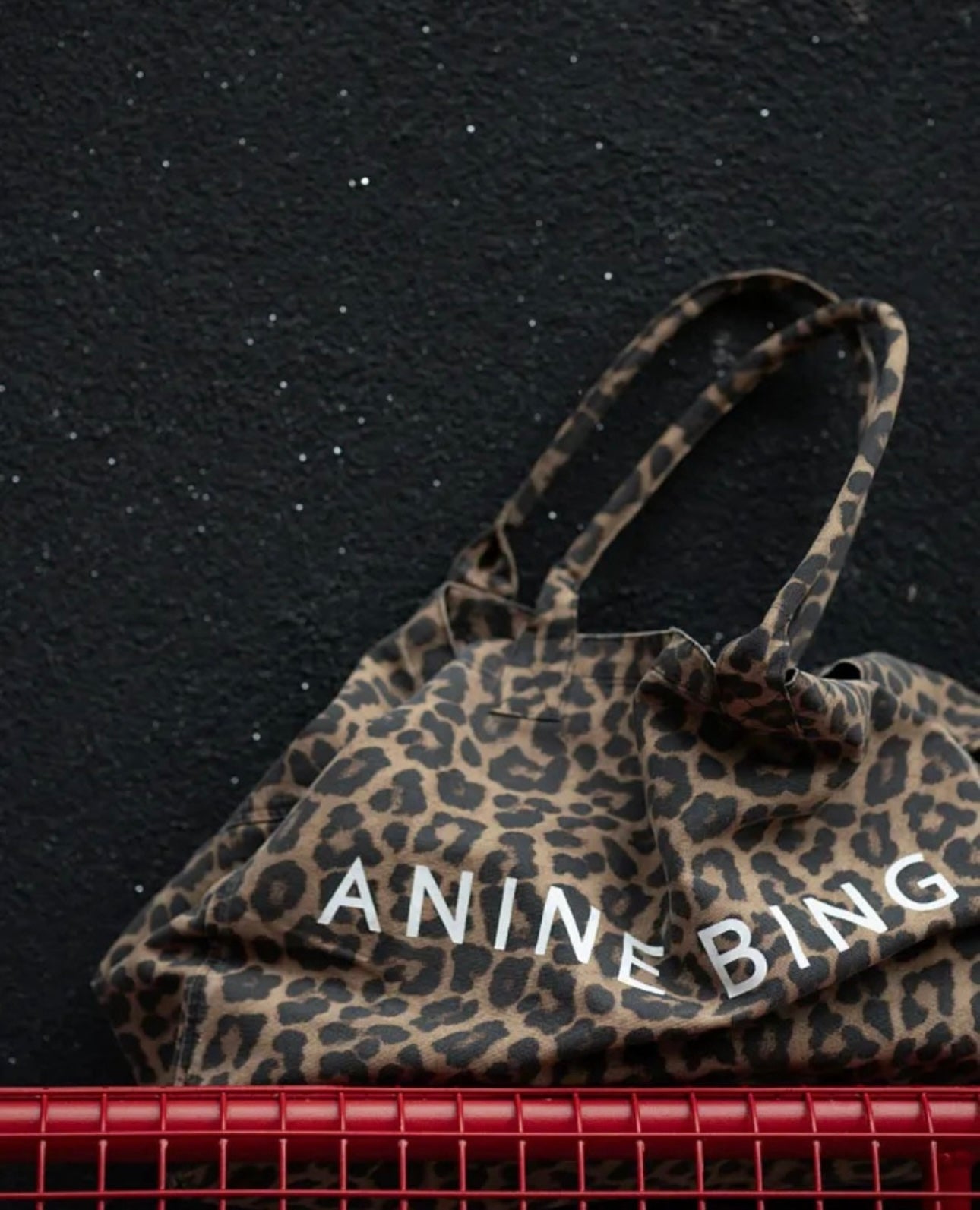 LEO CANVAS TOTE
