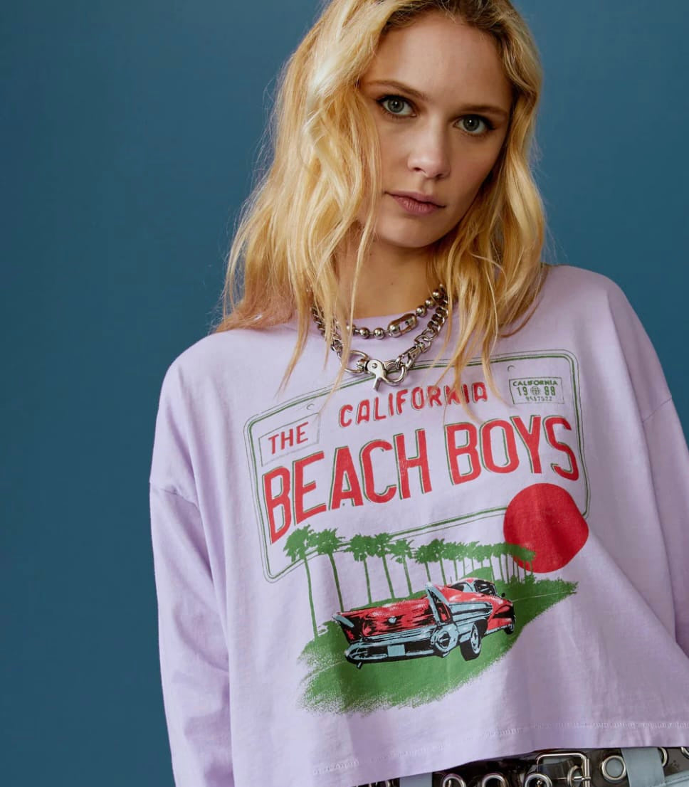 The Beach Boys License Plate Crop Ls Merch In Lavender Bloom